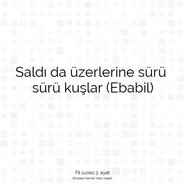 Ayetbul | Kuran Mealleri | Quran | Fil suresi 3. ayet