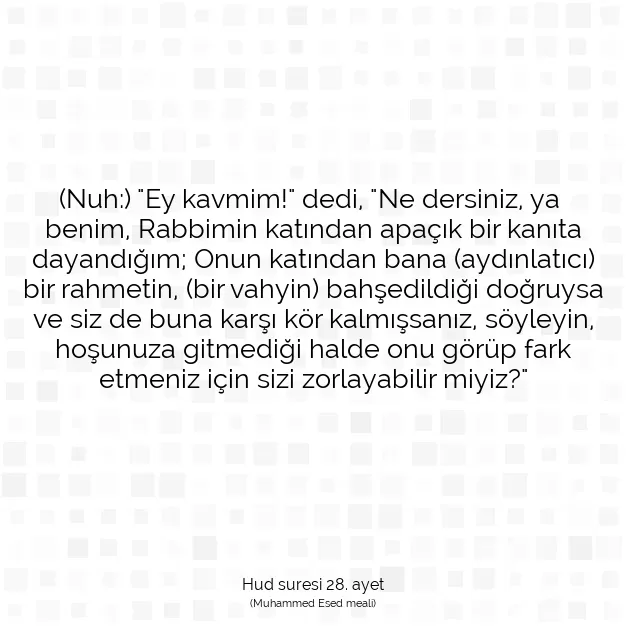 Ayetbul | Kuran Mealleri | Quran | Hud suresi 28. ayet