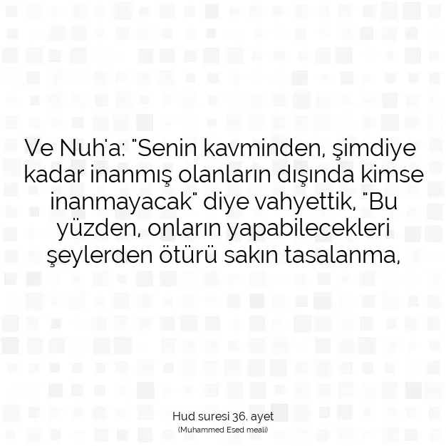 Ayetbul | Kuran Mealleri | Quran | Hud suresi 36. ayet