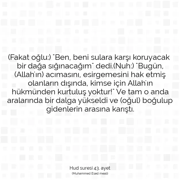 Ayetbul | Kuran Mealleri | Quran | Hud suresi 43. ayet