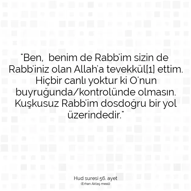 Ayetbul | Kuran Mealleri | Quran | Hud suresi 56. ayet