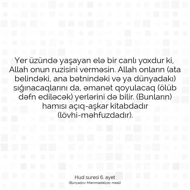 Ayetbul | Kuran Mealleri | Quran | Hud suresi 6. ayet