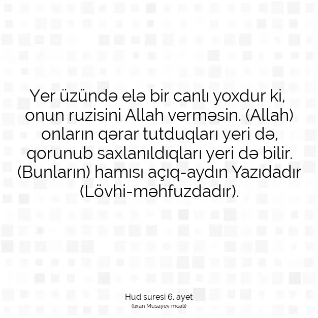 Ayetbul | Kuran Mealleri | Quran | Hud suresi 6. ayet