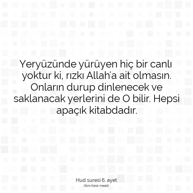 Ayetbul | Kuran Mealleri | Quran | Hud suresi 6. ayet