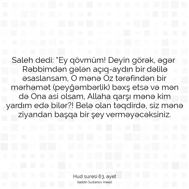 Ayetbul | Kuran Mealleri | Quran | Hud suresi 63. ayet