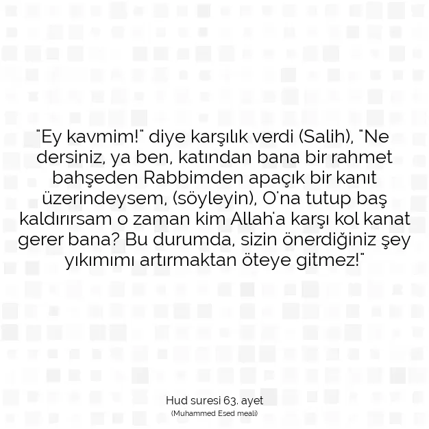 Ayetbul | Kuran Mealleri | Quran | Hud suresi 63. ayet