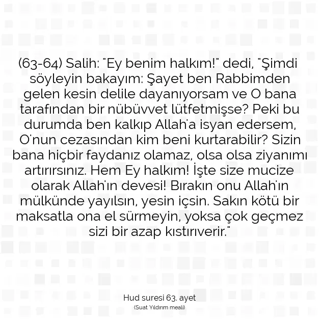 Ayetbul | Kuran Mealleri | Quran | Hud suresi 63. ayet