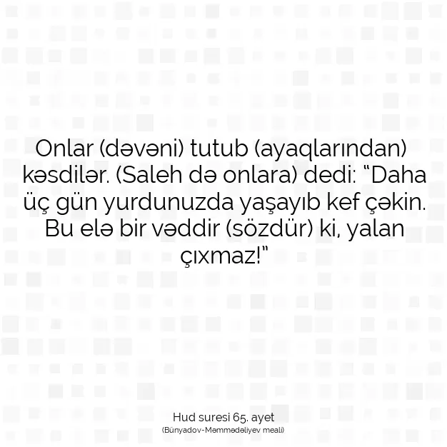 Ayetbul | Kuran Mealleri | Quran | Hud suresi 65. ayet