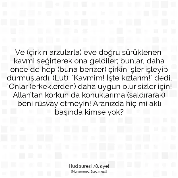 Ayetbul | Kuran Mealleri | Quran | Hud suresi 78. ayet