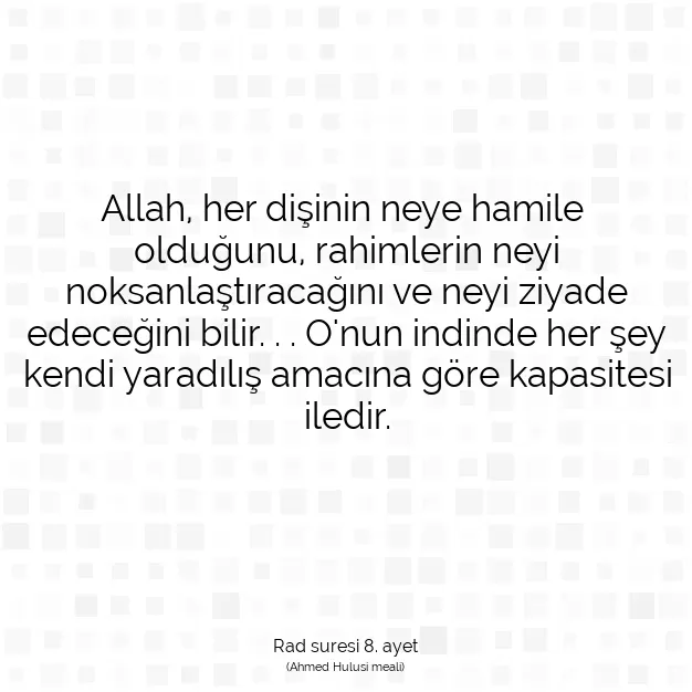 Ayetbul | Kuran Mealleri | Quran | Rad suresi 8. ayet