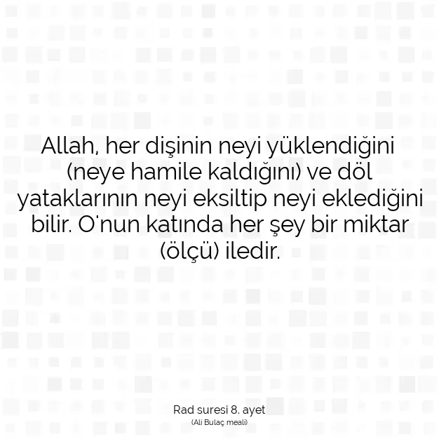 Ayetbul | Kuran Mealleri | Quran | Rad suresi 8. ayet