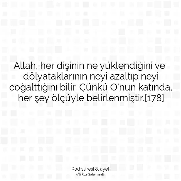 Ayetbul | Kuran Mealleri | Quran | Rad suresi 8. ayet