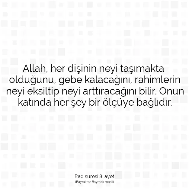 Ayetbul | Kuran Mealleri | Quran | Rad suresi 8. ayet