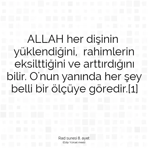 Ayetbul | Kuran Mealleri | Quran | Rad suresi 8. ayet