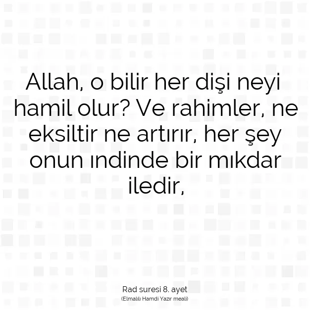 Ayetbul | Kuran Mealleri | Quran | Rad suresi 8. ayet