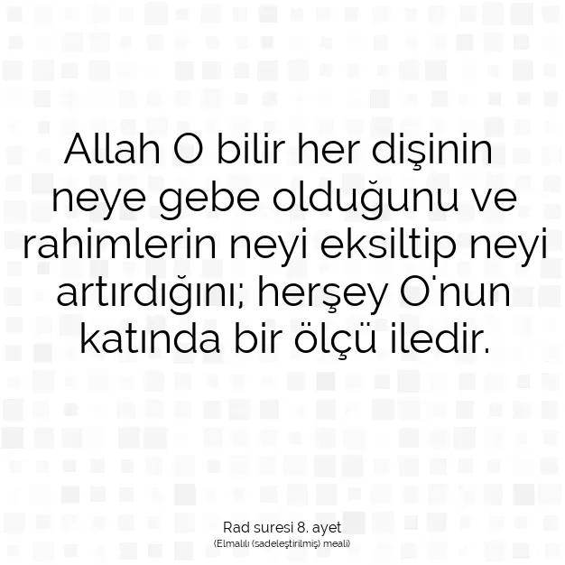 Ayetbul | Kuran Mealleri | Quran | Rad suresi 8. ayet