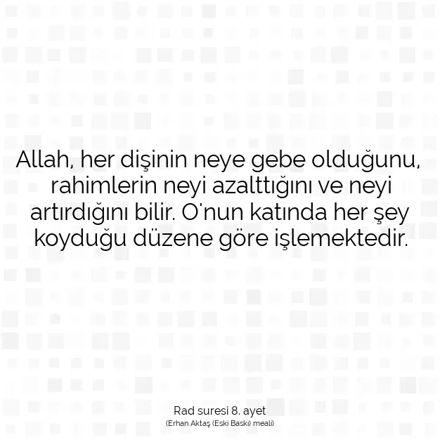 Ayetbul | Kuran Mealleri | Quran | Rad suresi 8. ayet