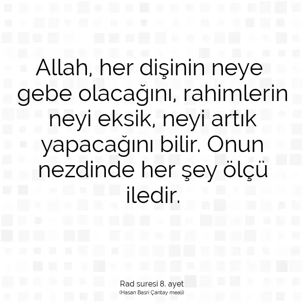 Ayetbul | Kuran Mealleri | Quran | Rad suresi 8. ayet