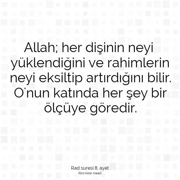 Ayetbul | Kuran Mealleri | Quran | Rad suresi 8. ayet