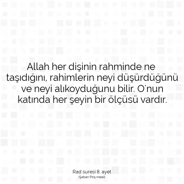 Ayetbul | Kuran Mealleri | Quran | Rad suresi 8. ayet