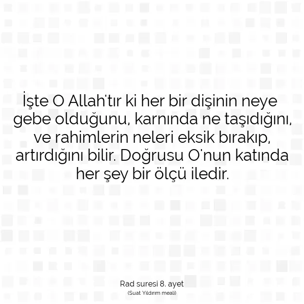 Ayetbul | Kuran Mealleri | Quran | Rad suresi 8. ayet