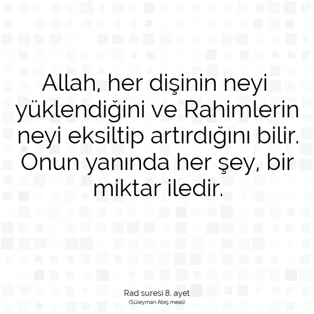 Ayetbul | Kuran Mealleri | Quran | Rad suresi 8. ayet