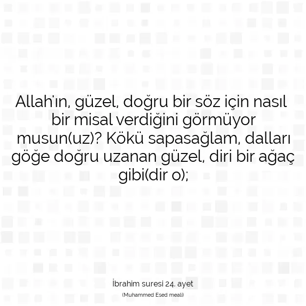 Ayetbul | Kuran Mealleri | Quran | İbrahim suresi 24. ayet