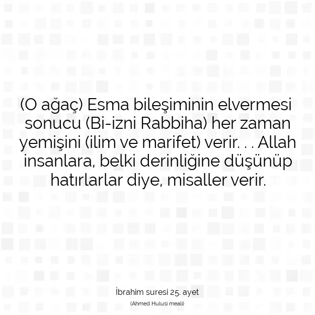 Ayetbul | Kuran Mealleri | Quran | İbrahim suresi 25. ayet