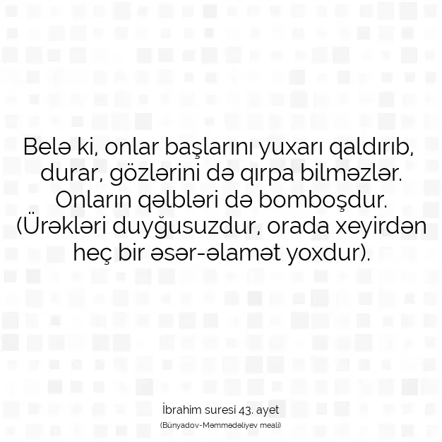 Ayetbul | Kuran Mealleri | Quran | İbrahim suresi 43. ayet