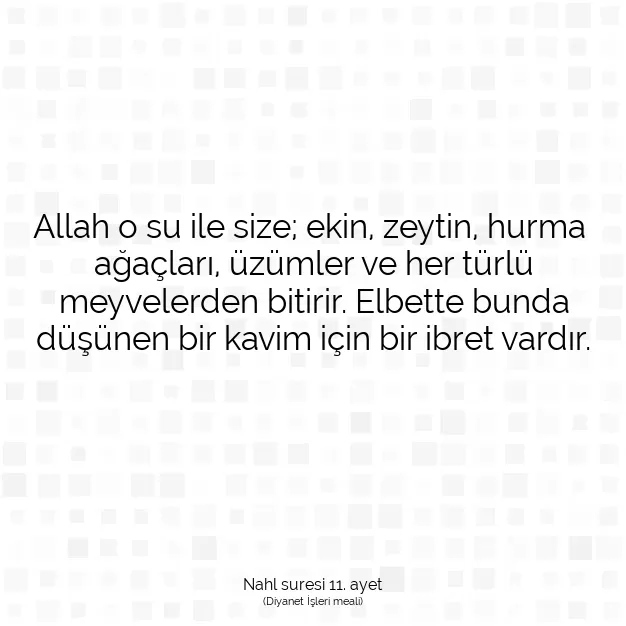 Ayetbul | Kuran Mealleri | Quran | Nahl suresi 11. ayet