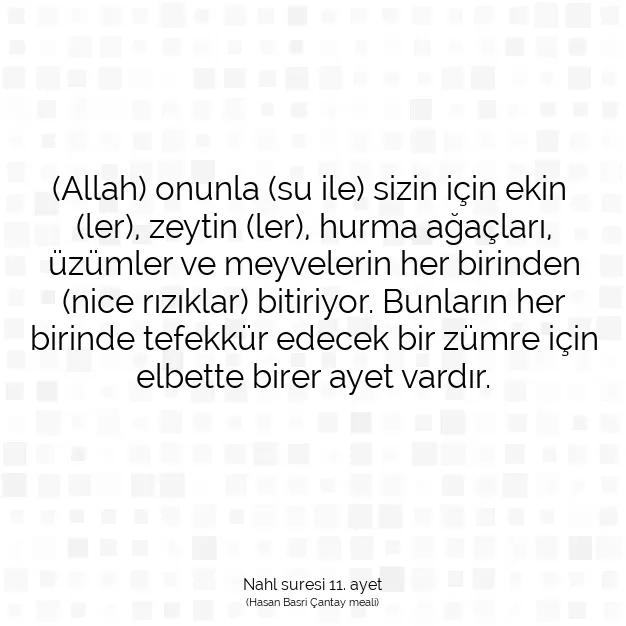 Ayetbul | Kuran Mealleri | Quran | Nahl suresi 11. ayet