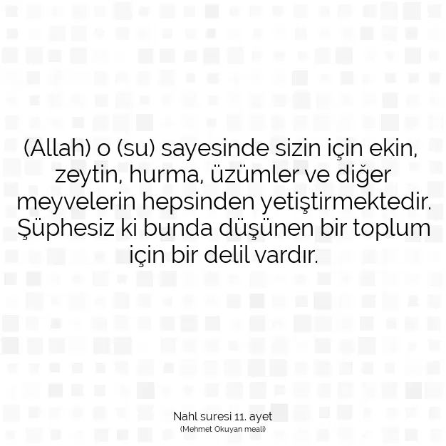 Ayetbul | Kuran Mealleri | Quran | Nahl suresi 11. ayet