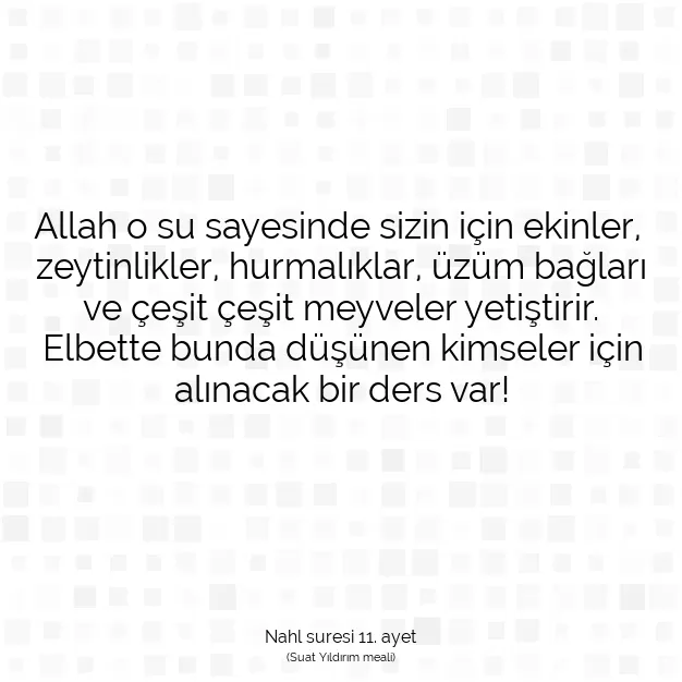 Ayetbul | Kuran Mealleri | Quran | Nahl suresi 11. ayet