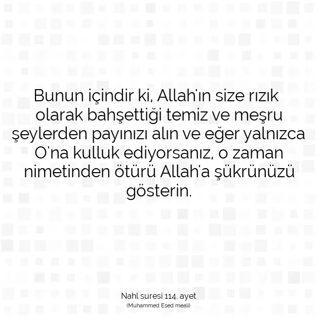 Ayetbul | Kuran Mealleri | Quran | Nahl suresi 114. ayet