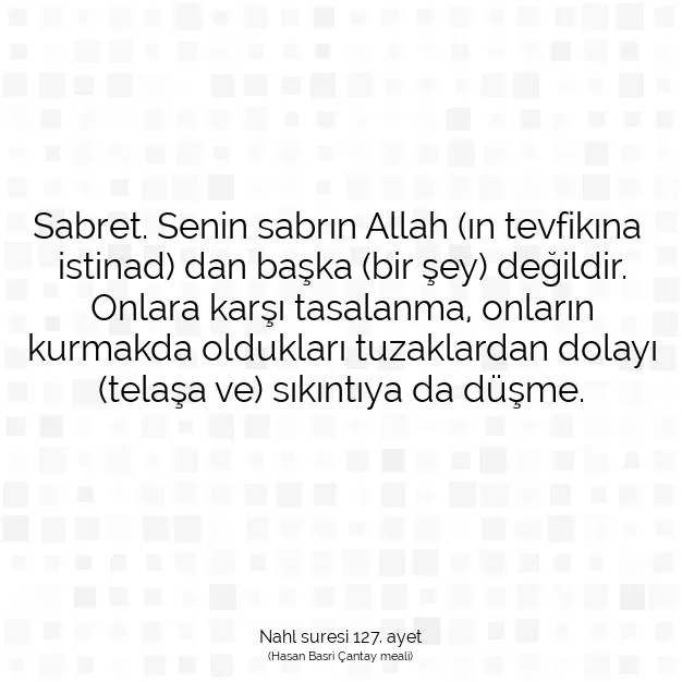 Ayetbul | Kuran Mealleri | Quran | Nahl suresi 127. ayet