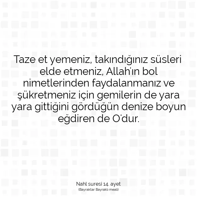 Ayetbul | Kuran Mealleri | Quran | Nahl suresi 14. ayet