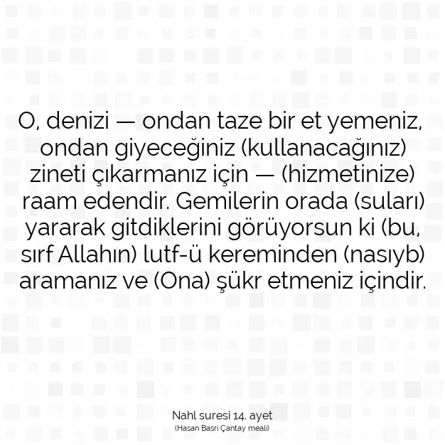 Ayetbul | Kuran Mealleri | Quran | Nahl suresi 14. ayet