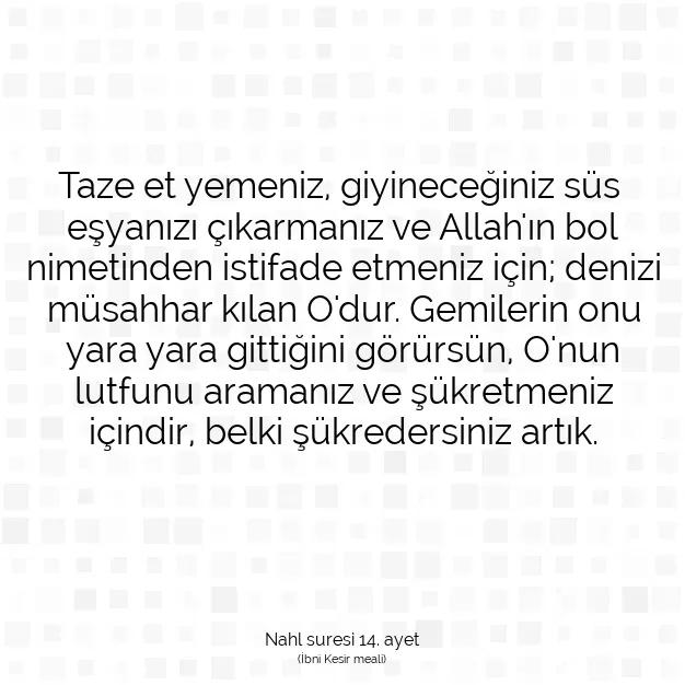 Ayetbul | Kuran Mealleri | Quran | Nahl suresi 14. ayet