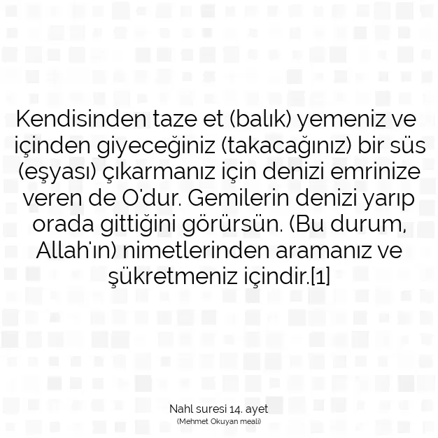 Ayetbul | Kuran Mealleri | Quran | Nahl suresi 14. ayet