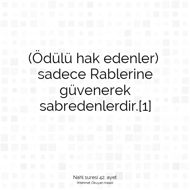 Ayetbul | Kuran Mealleri | Quran | Nahl suresi 42. ayet