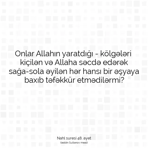 Ayetbul | Kuran Mealleri | Quran | Nahl suresi 48. ayet