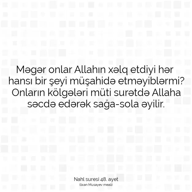 Ayetbul | Kuran Mealleri | Quran | Nahl suresi 48. ayet