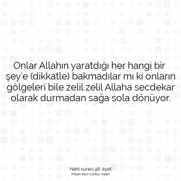 Ayetbul | Kuran Mealleri | Quran | Nahl suresi 48. ayet