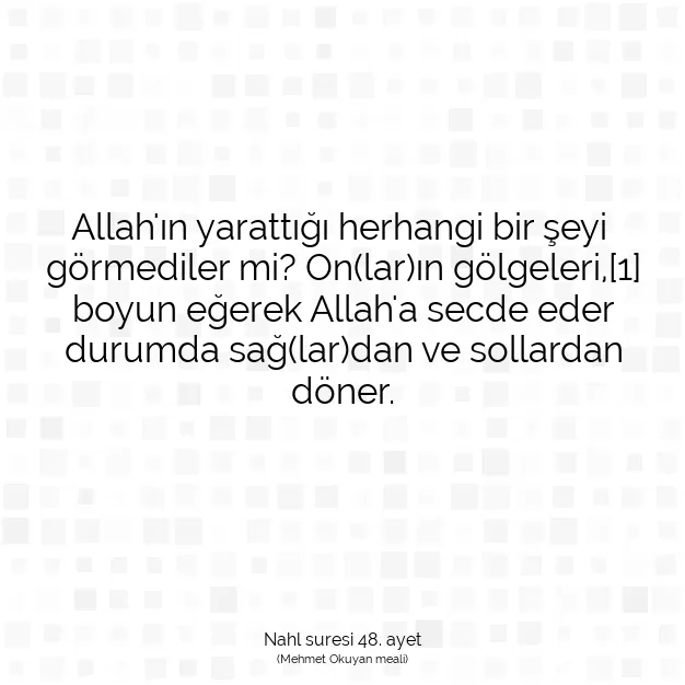 Ayetbul | Kuran Mealleri | Quran | Nahl suresi 48. ayet