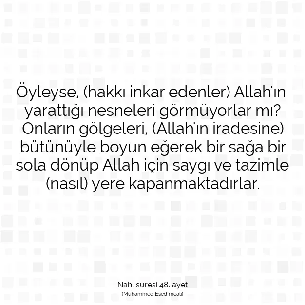 Ayetbul | Kuran Mealleri | Quran | Nahl suresi 48. ayet