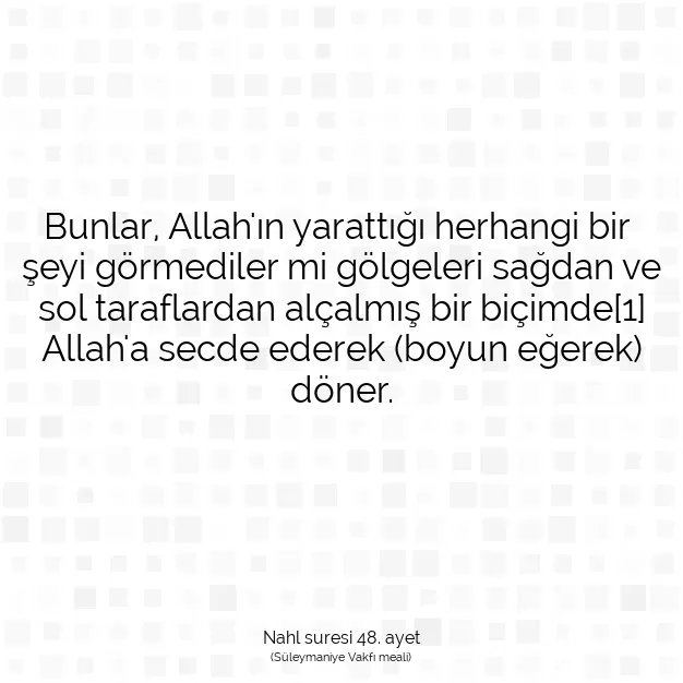 Ayetbul | Kuran Mealleri | Quran | Nahl suresi 48. ayet