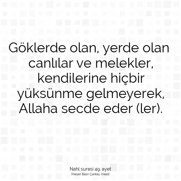 Ayetbul | Kuran Mealleri | Quran | Nahl suresi 49. ayet