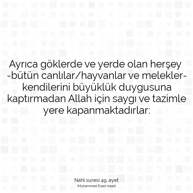 Ayetbul | Kuran Mealleri | Quran | Nahl suresi 49. ayet