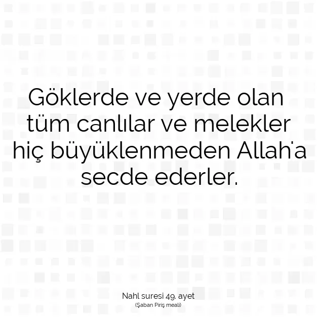 Ayetbul | Kuran Mealleri | Quran | Nahl suresi 49. ayet