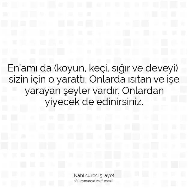 Ayetbul | Kuran Mealleri | Quran | Nahl suresi 5. ayet